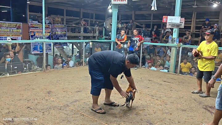 CFC 91 Gallera 2hits Ulutan, 1st fyt, talo 😅