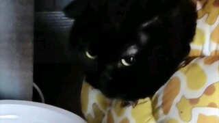 Apa kalian puas dengan tatapan mematikan ini?