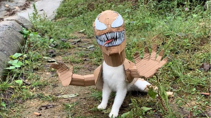 unknown creature