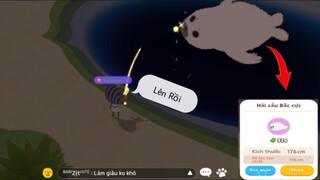 PLAY TOGETHER Quay Trở Lại Câu Ở Hố Xanh Săn Cá Mập Da Đen Và Cái Kết HG Gamer