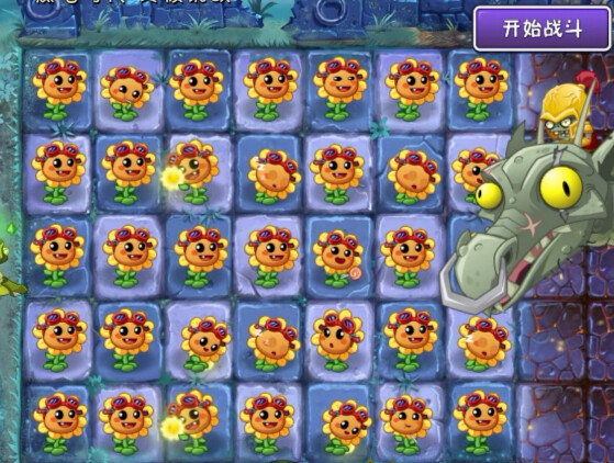 Hoa hướng dương nhỏ đáng yêu quá～