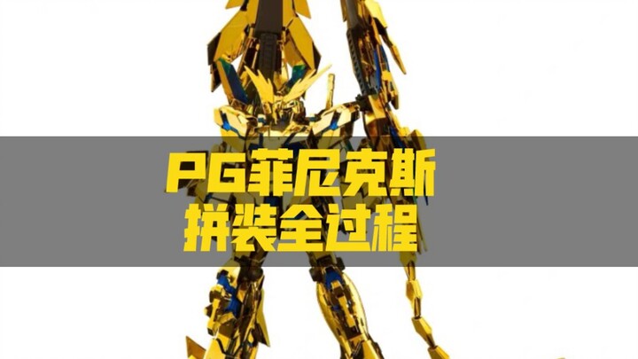 【水口哥】三倍速看PG菲尼克斯拼装全过程