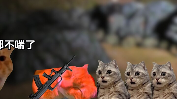 หลังถูกจับได้ว่านอนหลับขณะปฏิบัติหน้าที่ในกองทัพ (2)