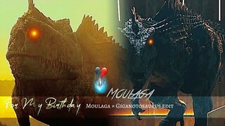 Moulaga × Giganotosaurus #edit #amv × For My Birthday ✨️