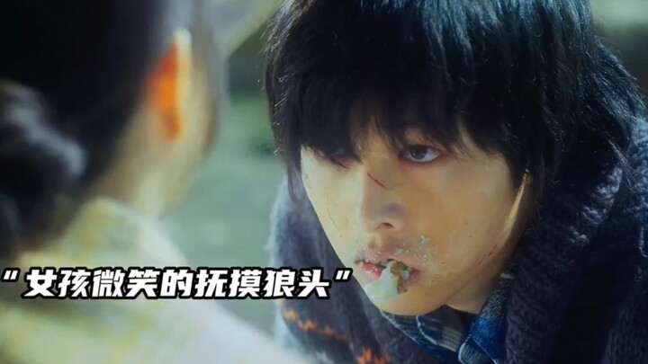 少年狼守护47年的承诺，狼一生只有一个伴侣｜宋仲基、朴宝英｜《狼少年》