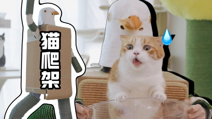 "Skill Cat Climbing Ladder" Gugu Version