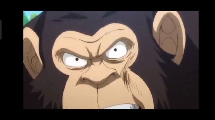 Luffy VS Gorila 🤣