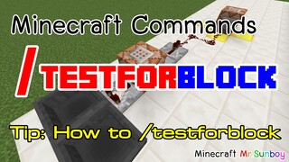 Minecraft Commands [Thai]: วิธีใช้คำสั่ง /testforblock [1.7.2]