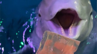 Bắt đầu ăn thôi