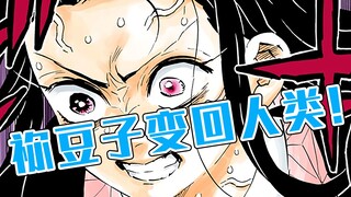 [Kimetsu no Yaiba] Bab 196: Nezuko kehilangan kemampuan hantunya setelah dia kembali menjadi manusia