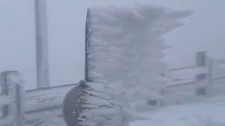 Lingkungan tempat saya bekerja sangat keras, dan sekarang saya sudah tenggelam di komunitas hewan pe