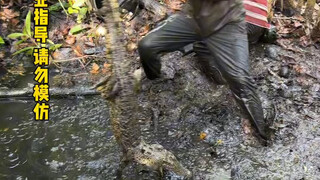 لا شيء أفضل من الوطن