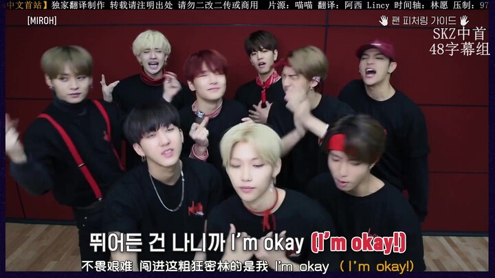 【SKZ中首48字幕组】[Stray Kids]MIROH 应援音译中字