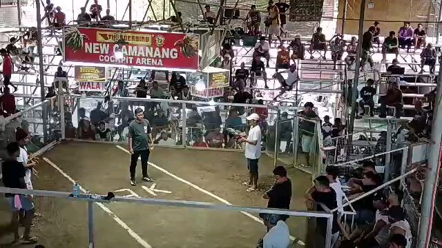 2nd fight. Win. Champion.