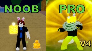 Noob to Pro Using Mink V4 Race + Buddha - BloxFruits