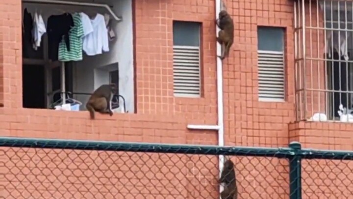 The tutor is here checking on the dorms