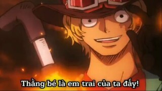 Luôn có  trái Logia hệ lửa bảo vệ Lù #anime