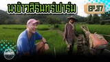 นาข้าวสิรินทร์ฟาร์ม - [SIRINFARM]​ EP.37