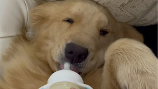 When I bought George a baby bottle