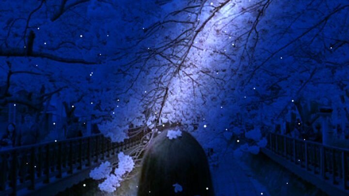 cảnh đẹp Hàn Quốc đẹp không mọi người ☺️☺️