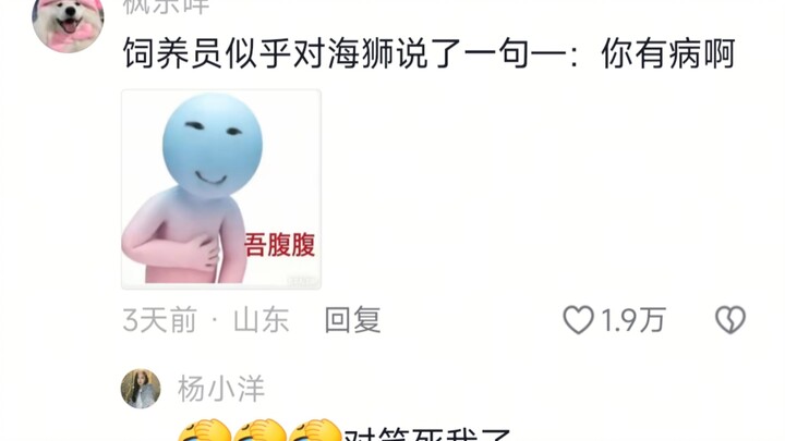“Tái sinh thành sư tử biển, nhưng crush lại ở ngay bên cạnh”