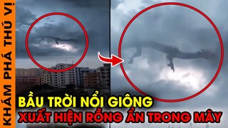 🔥Camera Vô Tình Ghi Lại 10 Sinh Vật Bí Ẩn Xuất Hiện Trong Cơn Mưa Giông Được Người Dùng Chia Sẻ