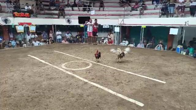 texas cockpit arena(01-20-24