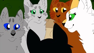 Swiftpaw / Brightpaw ||| White Teeth Teens