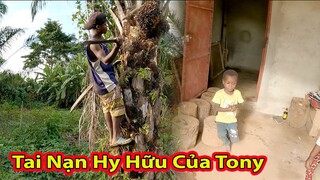 Tập 235: Tony tai nạn kiểu thượng đế cũng phải cười||2Q Vlogs cuộc sống châu phi