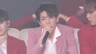 [Chinese subtitles] [SEVENTEEN] Pretty Concert Version Pink Pink Little Seventeen