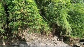 kata-kata hari ini #zaintemanime #katakata #hobimancing #fyp #fypシ #funny #lucu #videolucu #reels