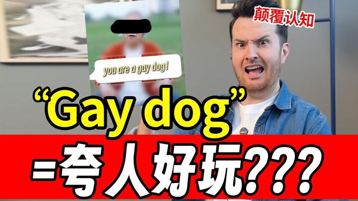 Wait a minute? Calling someone a “Gay dog” is actually a compliment??? How did I not know that? | En