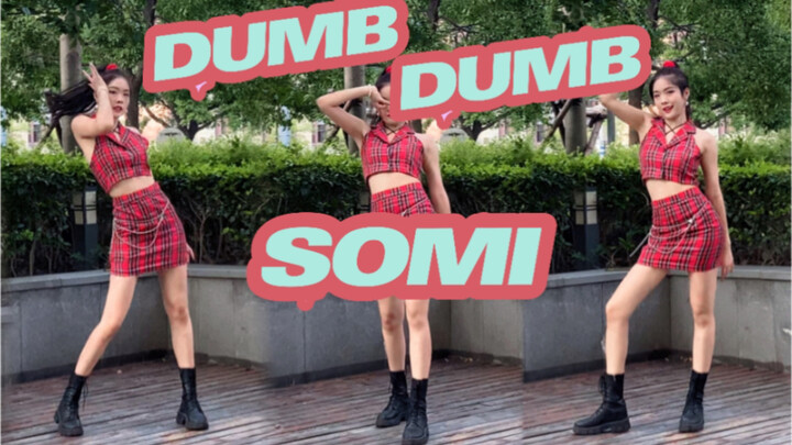 [นางเอกโรงเรียนละครอเมริกัน] SOMI - Dumb Dumb|คอรัสแดนซ์สปีดคัฟเวอร์