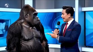 kata kata hari ini