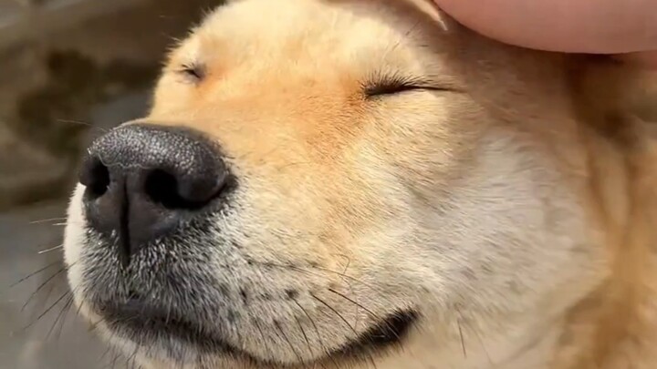 Even at this age, you're still such a clingy little puppy!