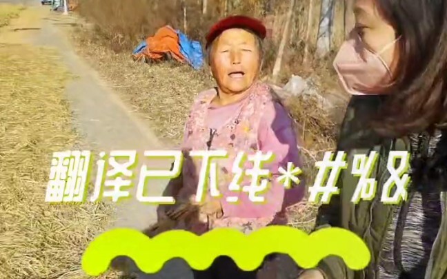 城里来大姑娘不敢压麦子