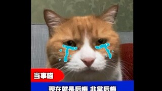 舔猫小咪：你今天就算是把胳膊摆在我面前！我也不会理…prprpr