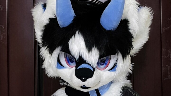 [Costume Showcase] This world just can't do without little dogs