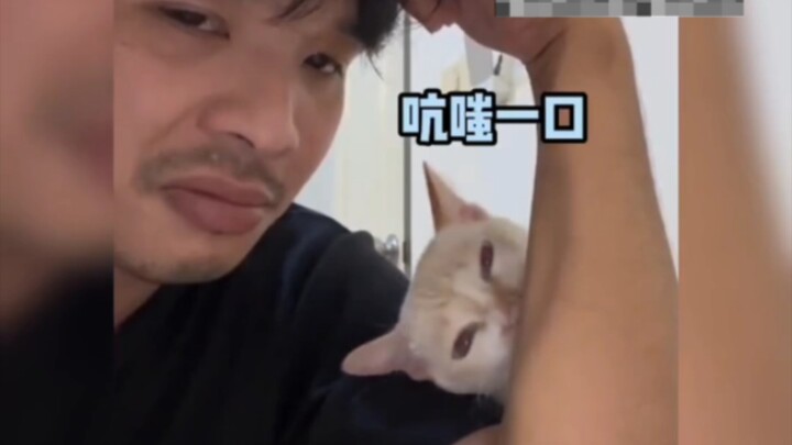 "لو سمحتُ لكم جميعًا بأن تخمّنوا، فكيف سأحكمكم إذًا!" # مواء النجوم