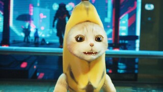 Banana Cat Splash Dilemma