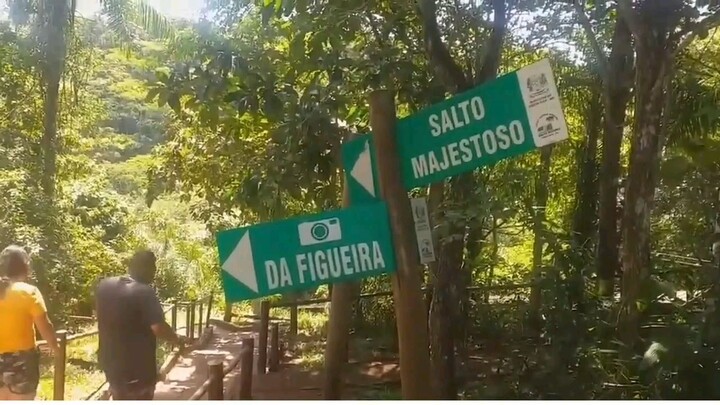 Cachoeira SALTO MAJESTOSO (Costa Rica MS-316) Natureza Viva