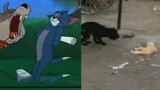 [Pets] Tom And Jerry In Real Life!