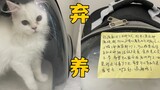 你会回来看它的，对吧？