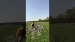 Saitama vs Minato Tag game