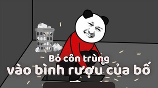 GẤU HÀI HƯỚC: Hồi bé bỏ côn trùng vào bình rượu của bố