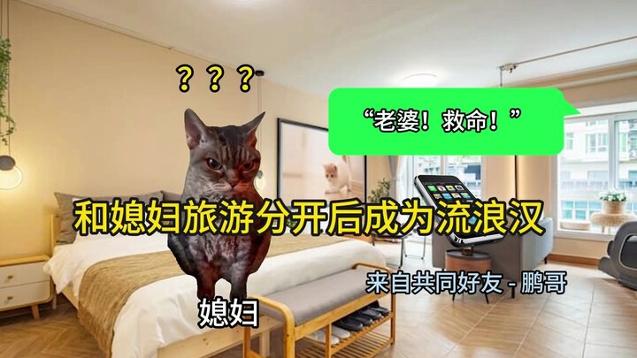 [Cat Meme] After Getting Separated from His Wife on Vacation, He Became a Homeless Person