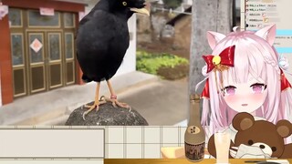 Japanese cat witch sees the masked bird brother become a spirit starling: I am you OO