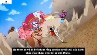 Sức Mạnh Thật Sự Của Kaido Luffy vs Bigmom Tộc Mink Hóa Sulong I One Piece Chương 987_ 4