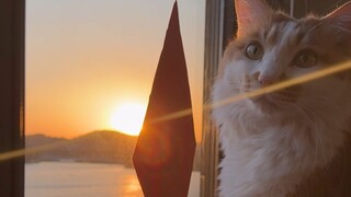 瓶颈，需要打破吗？蛇年行动力 max，勤则百弊皆除，passion！