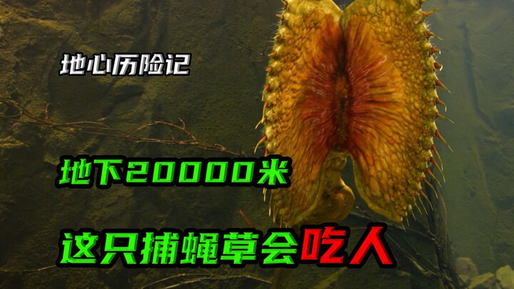 A mysterious cave filled with diamond eggs the size of chicken eggs